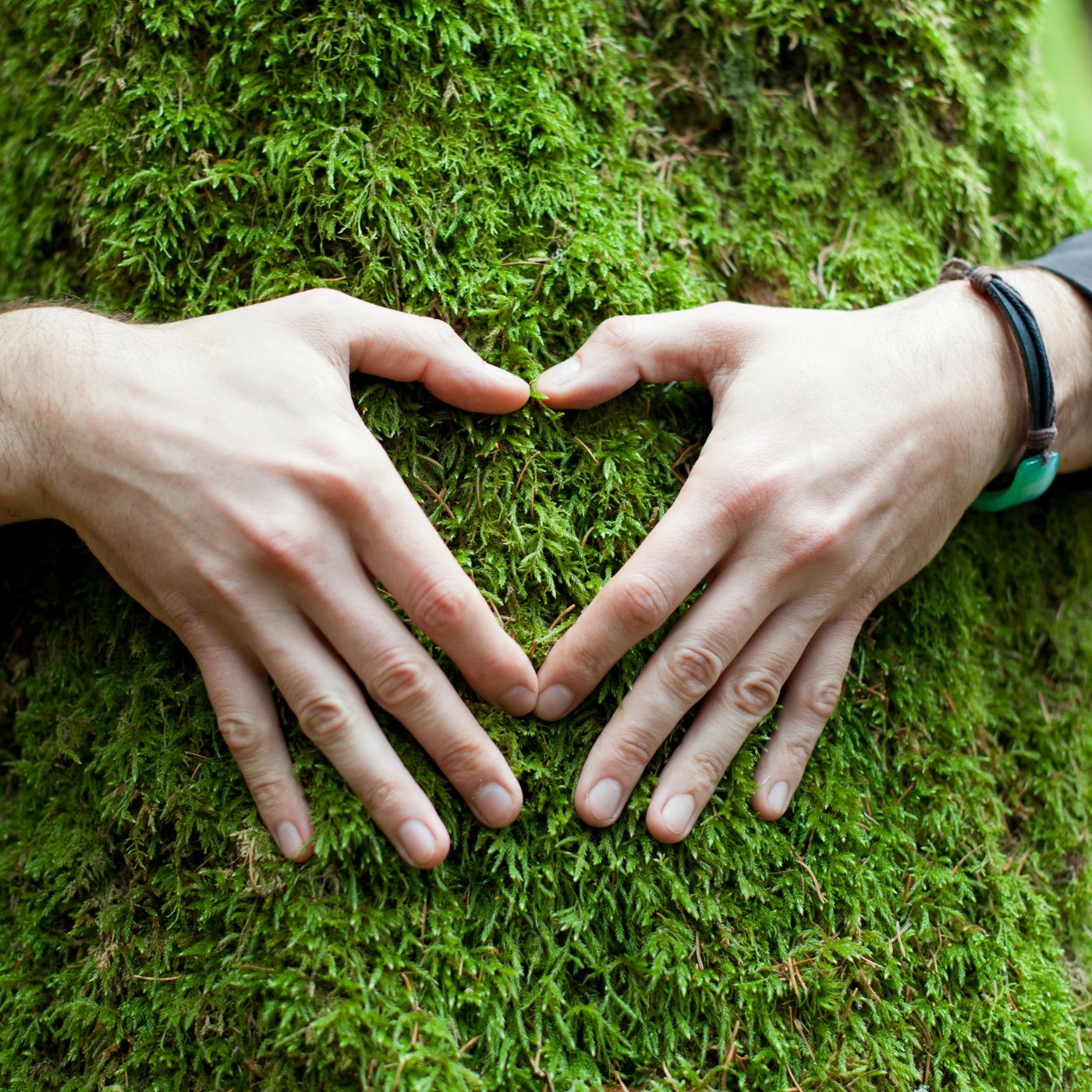 Zrównoważony rozwój